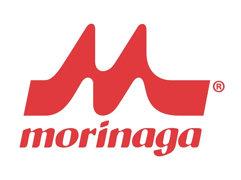Morinaga Tofu
